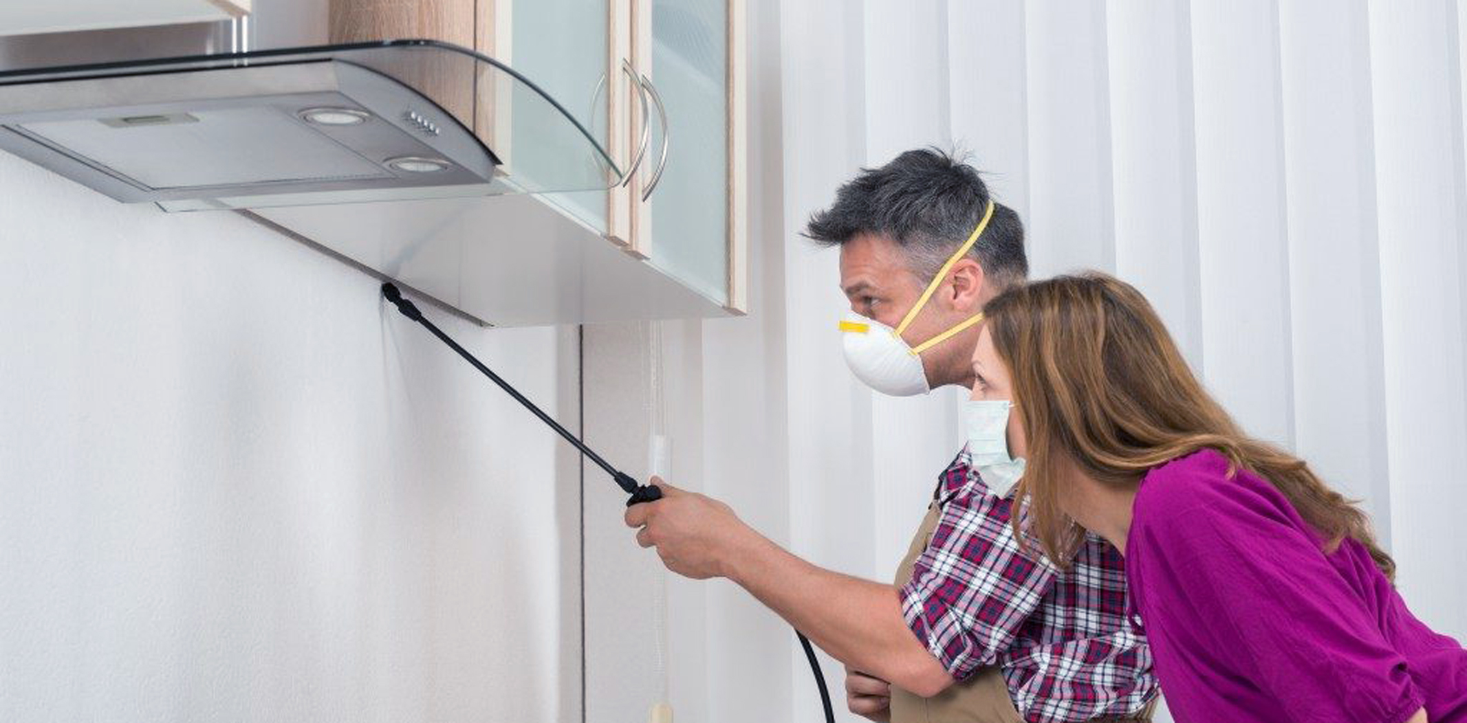 Solutions For Scratching Noises Coming From Your Walls In Australia