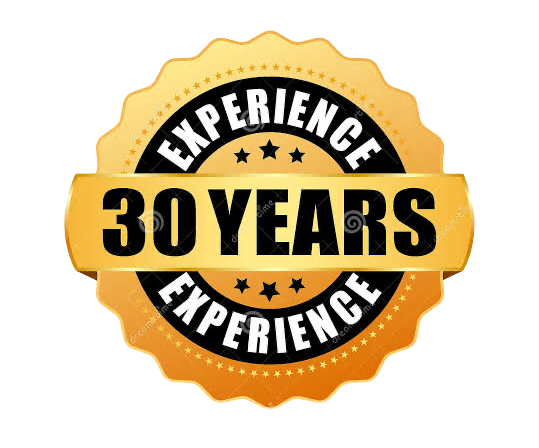 30 years experience logo